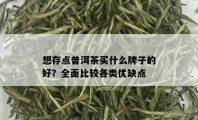 想存点普洱茶买什么牌子的好？全面比较各类优缺点