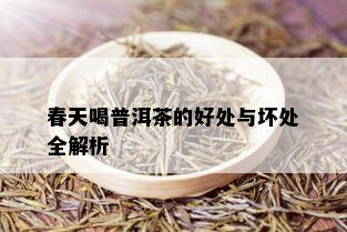 春天喝普洱茶的好处与坏处全解析