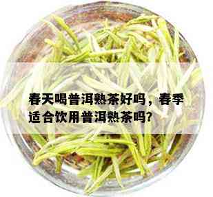 春天喝普洱熟茶好吗，春季适合饮用普洱熟茶吗？