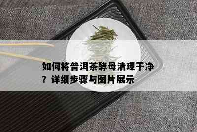 如何将普洱茶酵母清理干净？详细步骤与图片展示