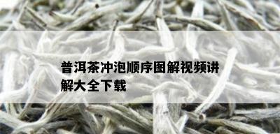 普洱茶冲泡顺序图解视频讲解大全下载