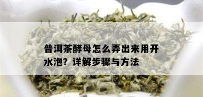 普洱茶酵母怎么弄出来用开水泡？详解步骤与方法