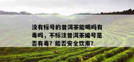 没有标号的普洱茶能喝吗有吗，不标注普洱茶编号是否有？能否安全饮用？