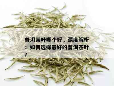 普洱茶叶哪个好，深度解析：如何选择更好的普洱茶叶？