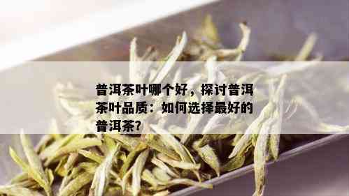 普洱茶叶哪个好，探讨普洱茶叶品质：如何选择更好的普洱茶？