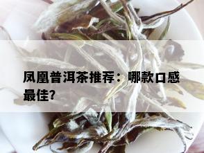 凤凰普洱茶推荐：哪款口感更佳？