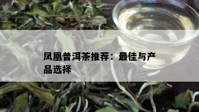 凤凰普洱茶推荐：更佳与产品选择