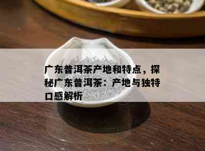 广东普洱茶产地和特点，探秘广东普洱茶：产地与独特口感解析