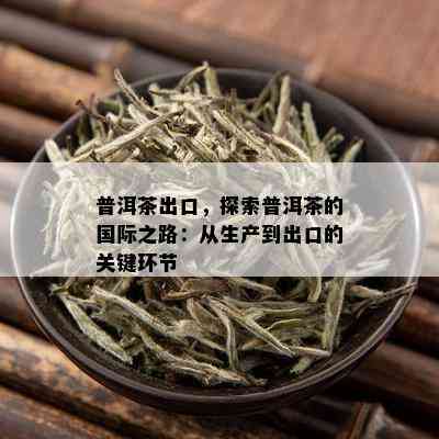 普洱茶出口，探索普洱茶的国际之路：从生产到出口的关键环节