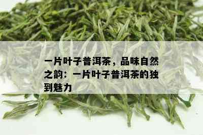 一片叶子普洱茶，品味自然之韵：一片叶子普洱茶的独到魅力