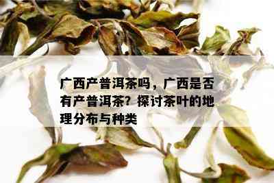 广西产普洱茶吗，广西是否有产普洱茶？探讨茶叶的地理分布与种类