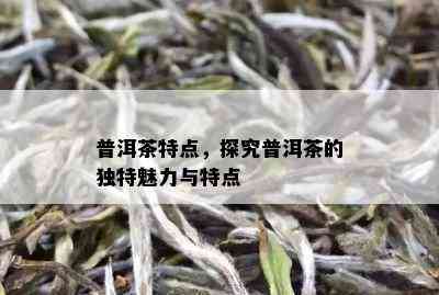 普洱茶特点，探究普洱茶的独特魅力与特点