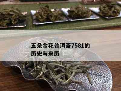 五朵金花普洱茶7581的历史与来历