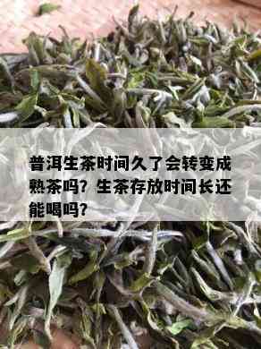 普洱生茶时间久了会转变成熟茶吗？生茶存放时间长还能喝吗？