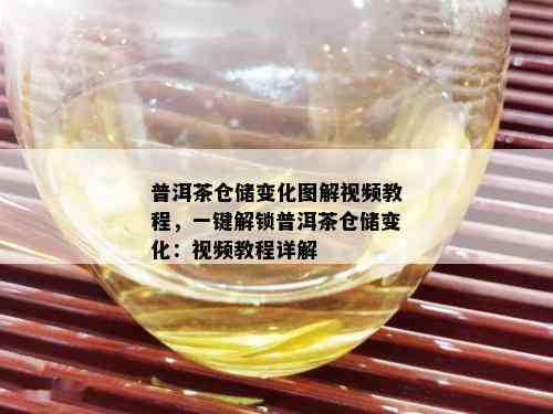 普洱茶仓储变化图解视频教程，一键解锁普洱茶仓储变化：视频教程详解