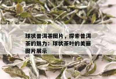 球状普洱茶图片，探索普洱茶的魅力：球状茶叶的美丽图片展示