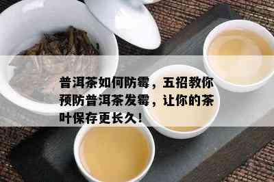 普洱茶如何防霉，五招教你预防普洱茶发霉，让你的茶叶保存更长久！