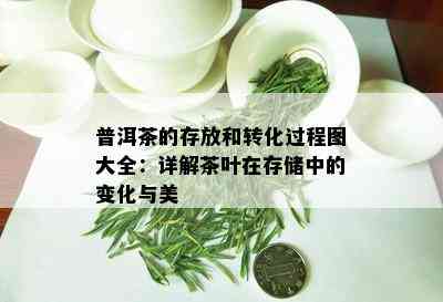 普洱茶的存放和转化过程图大全：详解茶叶在存储中的变化与美