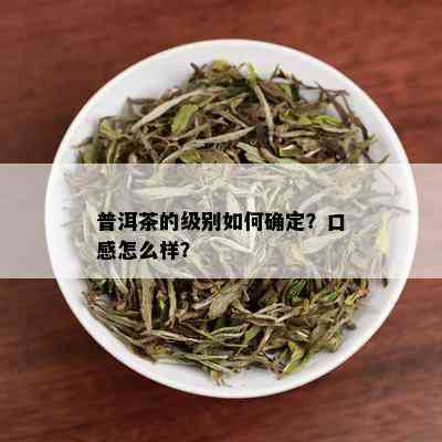 普洱茶的级别如何确定？口感怎么样？