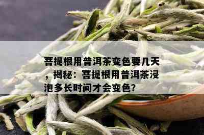 菩提根用普洱茶变色要几天，揭秘：菩提根用普洱茶浸泡多长时间才会变色？