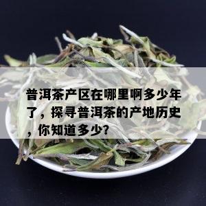 普洱茶产区在哪里啊多少年了，探寻普洱茶的产地历史，你知道多少？