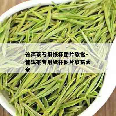 普洱茶专用纸杯图片欣赏-普洱茶专用纸杯图片欣赏大全