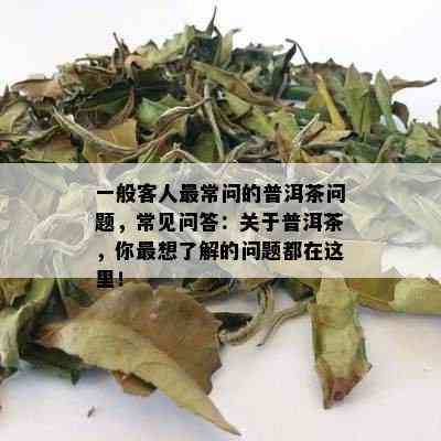 一般客人最常问的普洱茶问题，常见问答：关于普洱茶，你最想了解的问题都在这里！