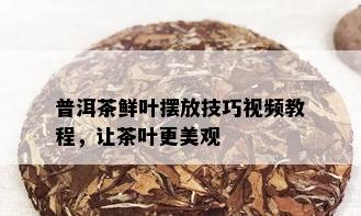 普洱茶鲜叶摆放技巧视频教程，让茶叶更美观