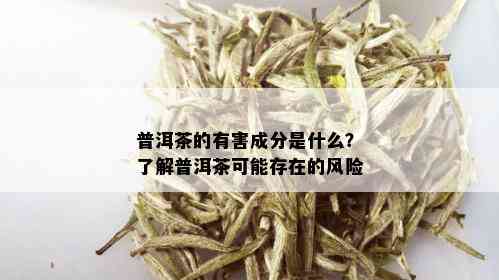 普洱茶的有害成分是什么？了解普洱茶可能存在的风险