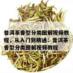 普洱茶香型分类图解视频教程，从入门到精通：普洱茶香型分类图解视频教程