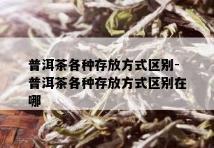 普洱茶各种存放方式区别-普洱茶各种存放方式区别在哪