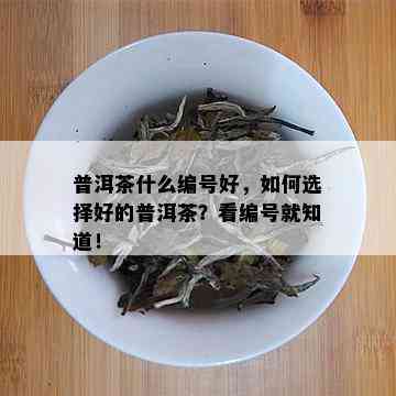 普洱茶什么编号好，如何选择好的普洱茶？看编号就知道！