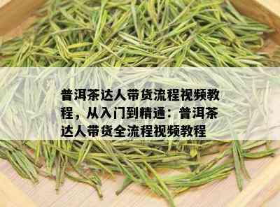 普洱茶达人带货流程视频教程，从入门到精通：普洱茶达人带货全流程视频教程