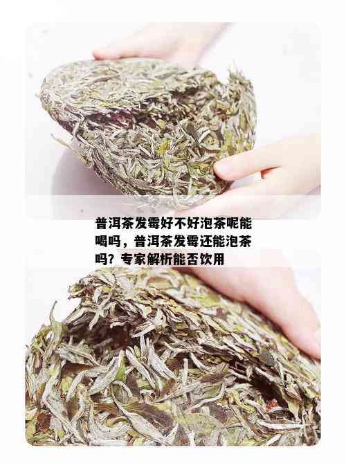 普洱茶发霉好不好泡茶呢能喝吗，普洱茶发霉还能泡茶吗？专家解析能否饮用