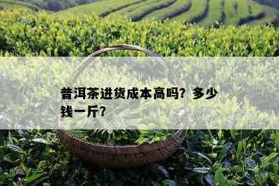 普洱茶进货成本高吗？多少钱一斤？