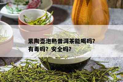 紫陶壶泡熟普洱茶能喝吗？有吗？安全吗？