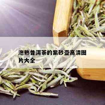 泡熟普洱茶的紫砂壶高清图片大全