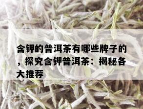 含钾的普洱茶有哪些牌子的，探究含钾普洱茶：揭秘各大推荐