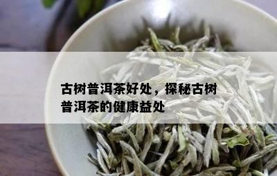 古树普洱茶好处，探秘古树普洱茶的健康益处