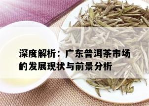 深度解析：广东普洱茶市场的发展现状与前景分析