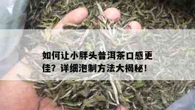 如何让小胖头普洱茶口感更佳？详细泡制方法大揭秘！