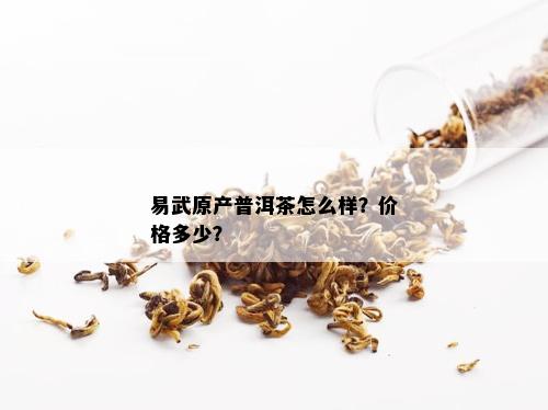 易武原产普洱茶怎么样？价格多少？