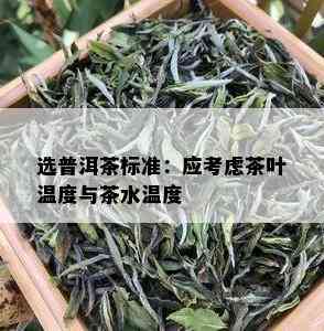 选普洱茶标准：应考虑茶叶温度与茶水温度