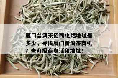 厦门普洱茶招商电话地址是多少，寻找厦门普洱茶商机？查询招商电话和地址！