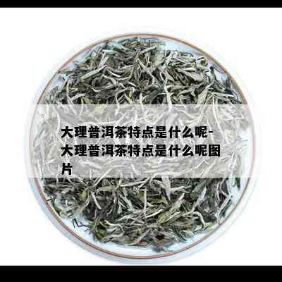 大理普洱茶特点是什么呢-大理普洱茶特点是什么呢图片