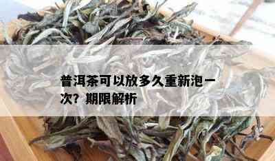 普洱茶可以放多久重新泡一次？期限解析