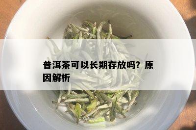 普洱茶可以长期存放吗？原因解析