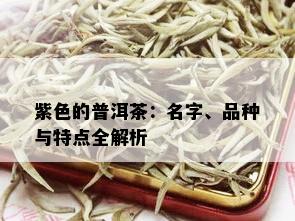 紫色的普洱茶：名字、品种与特点全解析