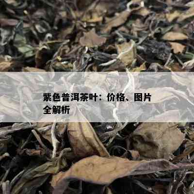 紫色普洱茶叶：价格、图片全解析