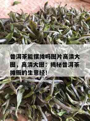 普洱茶能摆摊吗图片高清大图，高清大图：揭秘普洱茶摊贩的生意经！